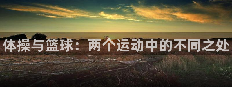 JJB竞技宝官网下载平台是正规平台吗知乎:体操与篮球:两个运