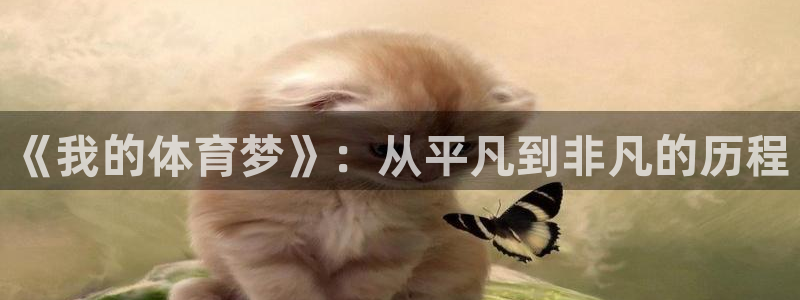 JJB竞技宝官网下载是干嘛的公司:《我的体育梦》:从平凡到非