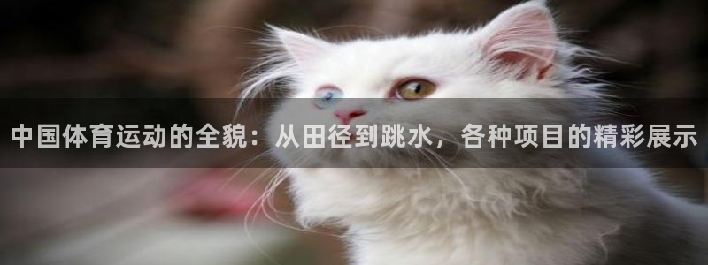 JJB竞技宝官方正版app娱乐网站:中国体育运动的全貌:从田